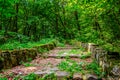 Stone steps through the park with foliage Royalty Free Stock Photo